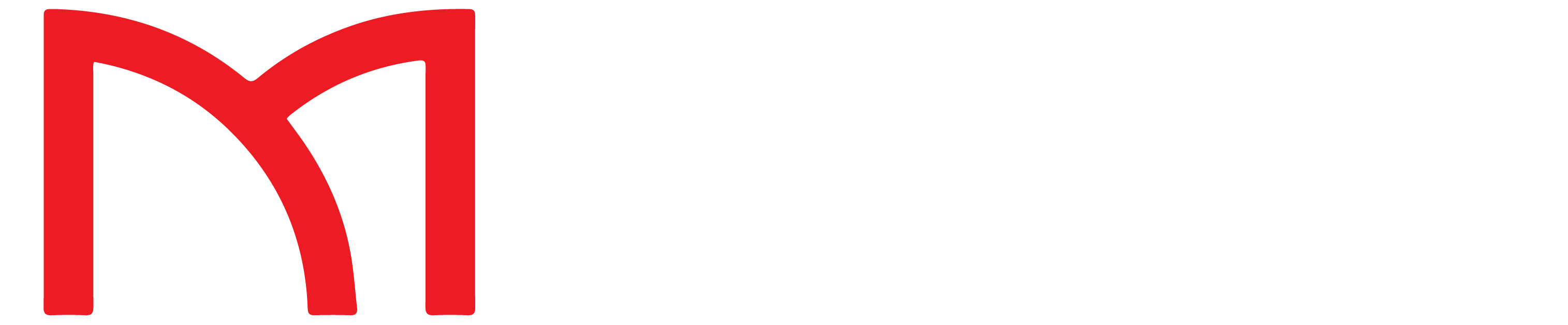 Wireless Masters Logo